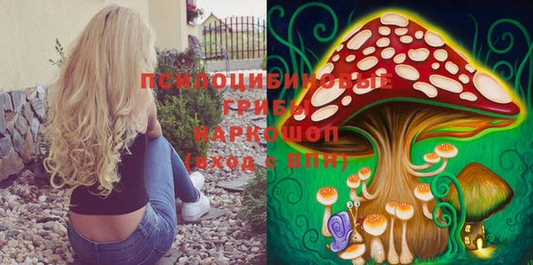 стафф Балабаново