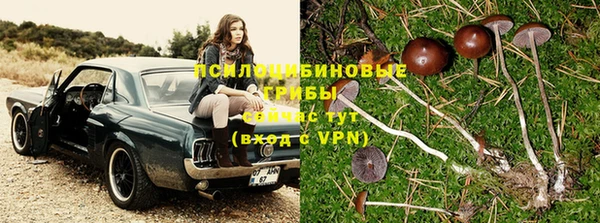 apvp Балахна