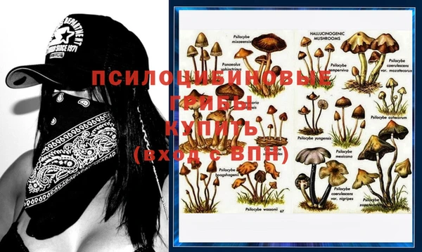 стафф Балабаново