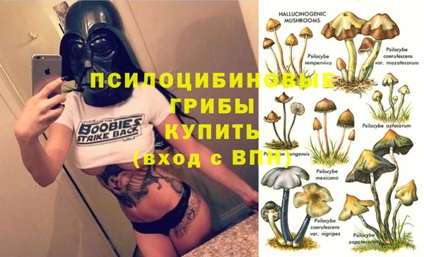 apvp Балахна