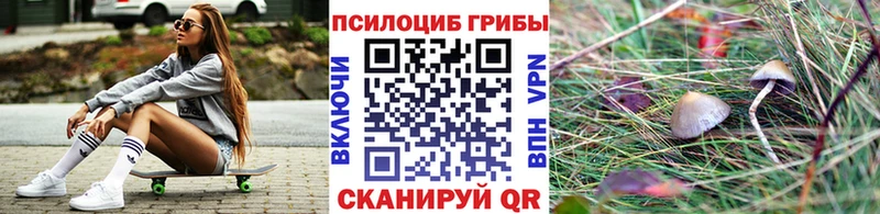 blacksprut сайт  Нестеровская  Галлюциногенные грибы GOLDEN TEACHER 