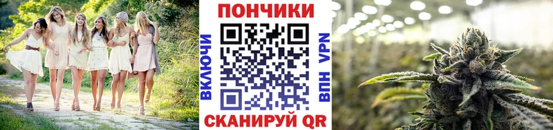 цена   Нестеровская  Шишки марихуана сатива 